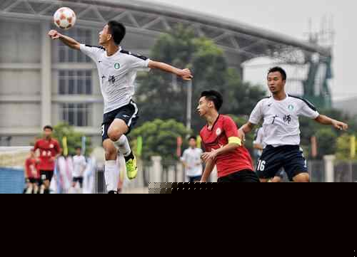 尔比希大概